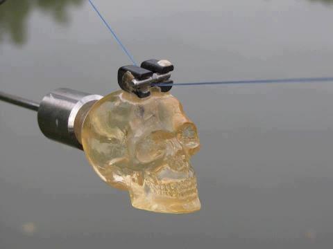 CARP Technology - 922806201033746711605720965630n.jpg